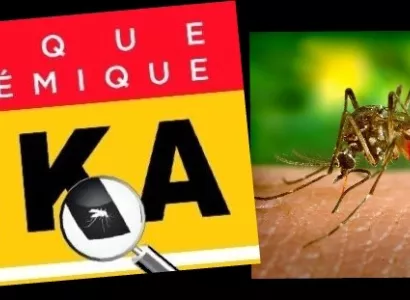 Risque épidémique Zika